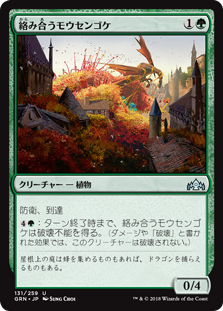 (GRN-UG)Grappling Sundew/絡み合うモウセンゴケ