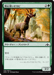 (GRN-CG)Wary Okapi/用心深いオカピ