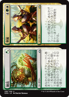 (GRN-US)Flower/開花 + Flourish/華麗