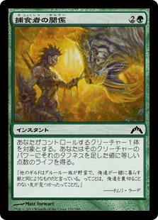 【Foil】(GTC-CG)Predator's Rapport/捕食者の関係