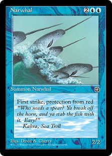 (HML-UU)Narwhal