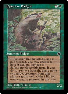 (HML-UG)Rysorian Badger