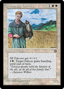 (HML-UW)Soraya the Falconer