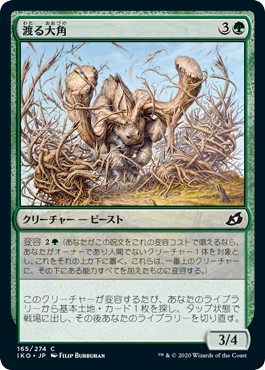 (IKO-CG)Migratory Greathorn/渡る大角