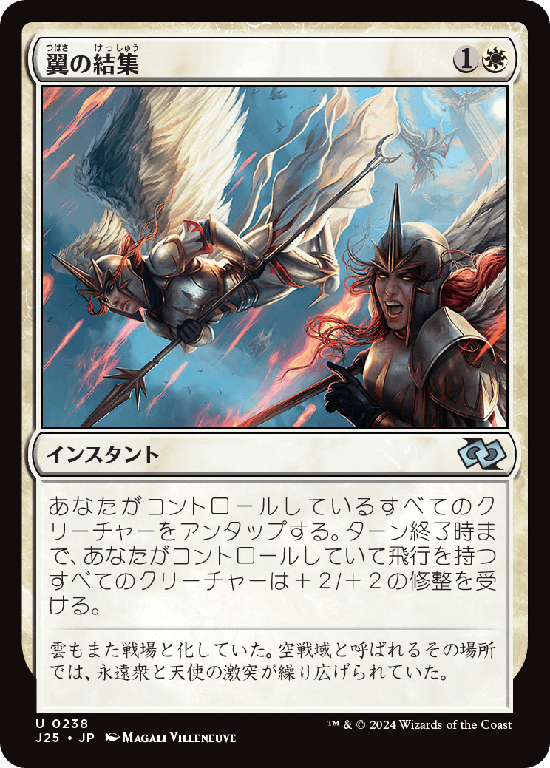 (J25-UW)Rally of Wings/翼の結集