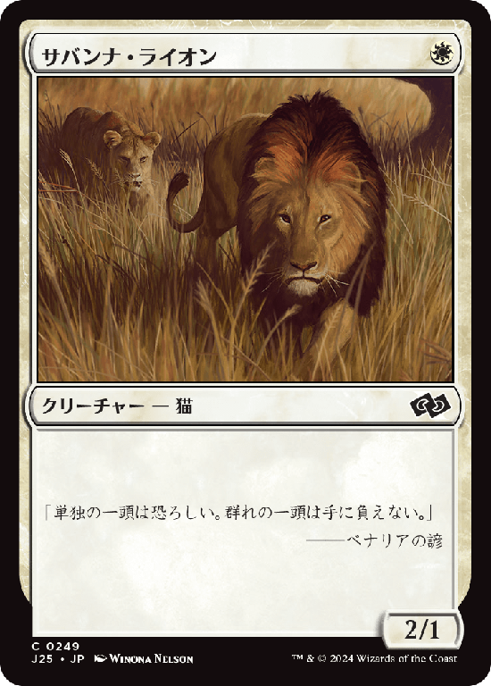 (J25-CW)Savannah Lions/サバンナ・ライオン