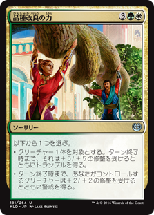 【Foil】(KLD-UM)Engineered Might/品種改良の力