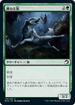 【Foil】(MID-CG)Bounding Wolf/跳ねる狼