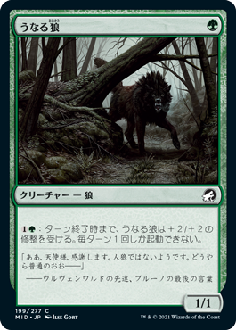 【Foil】(MID-CG)Snarling Wolf/うなる狼