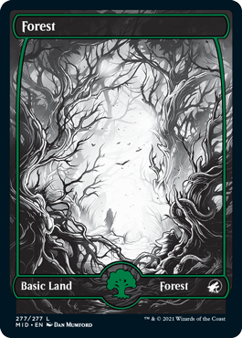 【Foil】(MID-CL)Forest/森【No.277】