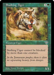 (MIR-CG)Stalking Tiger/忍び寄る虎
