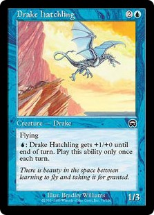 (MMQ-CU)Drake Hatchling/ドレイクの雛