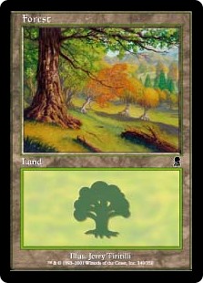 【Foil】(ODY-CL)Forest/森【No.349】