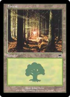 【Foil】(ONS-CL)Forest/森【No.349】