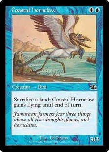 (PCY-CU)Coastal Hornclaw/沿岸の角爪鳥