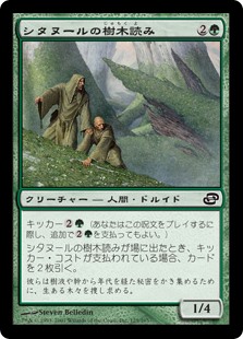 【Foil】(PLC-CG)Citanul Woodreaders/シタヌールの樹木読み