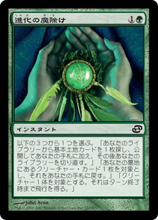 【Foil】(PLC-CG)Evolution Charm/進化の魔除け