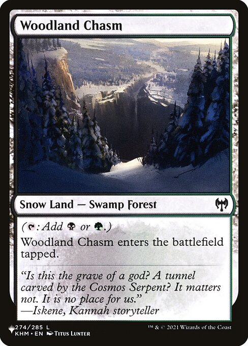 (PLST-CL)Woodland Chasm/森林の地割れ