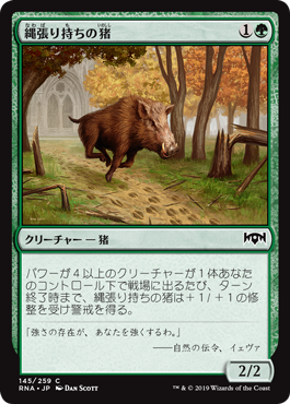 【Foil】(RNA-CG)Territorial Boar/縄張り持ちの猪