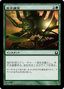 【Foil】(RTR-CG)Aerial Predation/空中捕食