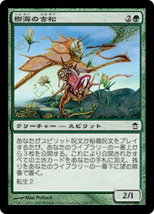 【Foil】(SOK-CG)Elder Pine of Jukai/樹海の古松