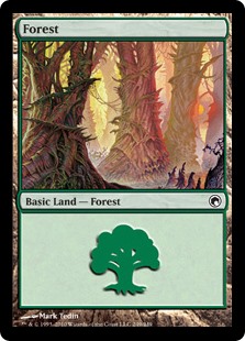 【Foil】(SOM-CL)Forest/森【No.249】