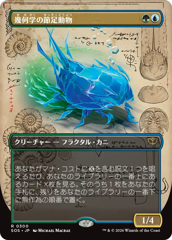 【実地調査ボーダーレス】(SOS-RM)Geometer's Arthropod/幾何学の節足動物【No.0300】
