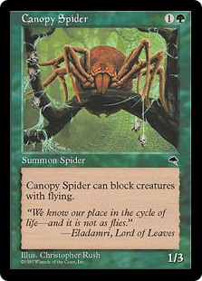 (TMP-CG)Canopy Spider/梢の蜘蛛