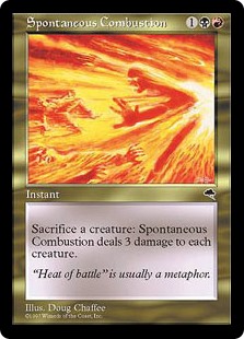 (TMP-UM)Spontaneous Combustion/自然発火