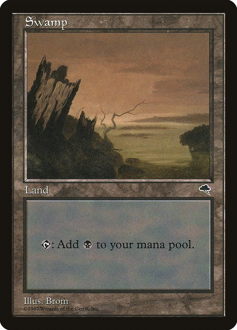 (TMP-CL)Swamp/沼【No.339】