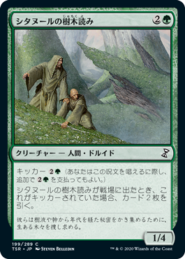 【Foil】(TSR-CG)Citanul Woodreaders/シタヌールの樹木読み