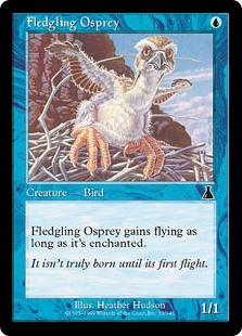 【Foil】(UDS-CU)Fledgling Osprey/巣立つミサゴ