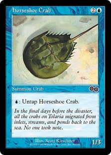 (USG-CU)Horseshoe Crab/カブトガニ