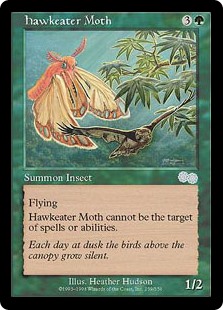 (USG-UG)Hawkeater Moth/鷹喰い蛾