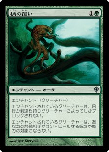 (WWK-UG)Canopy Cover/梢の覆い