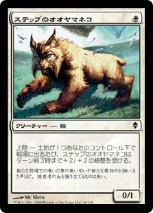 (ZEN-CW)Steppe Lynx/ステップのオオヤマネコ