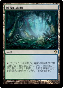 (ZEN-RL)Misty Rainforest/霧深い雨林