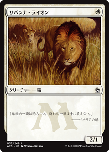 (A25-CW)Savannah Lions/サバンナ・ライオン