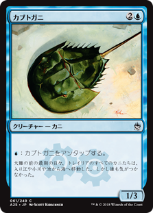 (A25-CU)Horseshoe Crab/カブトガニ