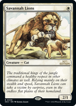 (30A-RW)Savannah Lions/サバンナ・ライオン