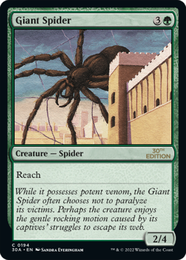 (30A-CG)Giant Spider/大蜘蛛