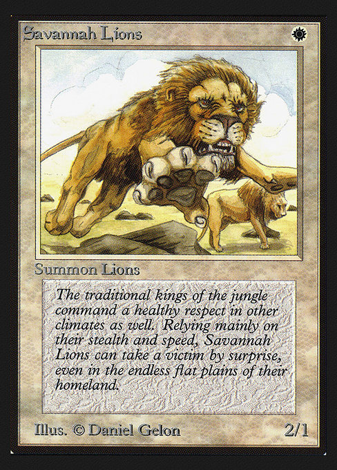 (CED-RW)Savannah Lions/サバンナ・ライオン