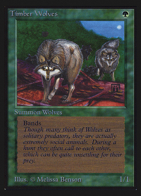 (CEI-RG)Timber Wolves/森林狼
