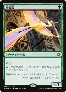 (CN2-RG)Birds of Paradise/極楽鳥