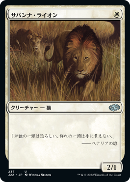 (J22-UW)Savannah Lions/サバンナ・ライオン