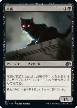 (J22-CB)Black Cat/黒猫