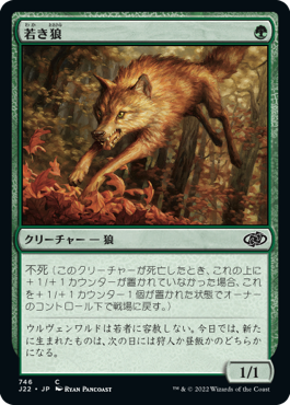 (J22-CG)Young Wolf/若き狼