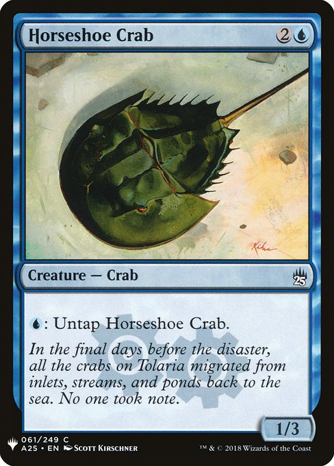 (MB1-CU)Horseshoe Crab/カブトガニ