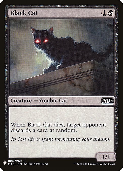 (MB1-CB)Black Cat/黒猫