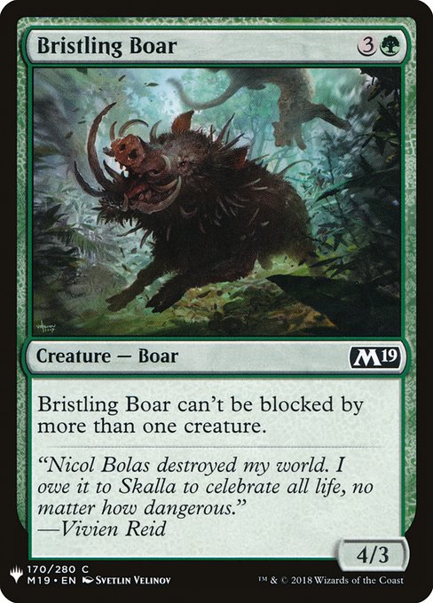 (MB1-CG)Bristling Boar/逆毛の猪
